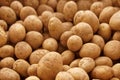 Seed Potatoes Royalty Free Stock Photo