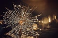 The seed of salsify in the water droplets closeup. Brown gold background with rays of light and bokeh. Royalty Free Stock Photo