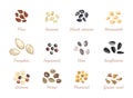 Set of different seeds isolated on a white background. Vector illustration of a healthy meal in cartoon flat style. Royalty Free Stock Photo