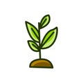 seed tree growing colorful icon vector illustration