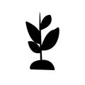 seed tree growing flat icon vector illustration