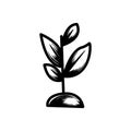 seed tree growing hand drawn icon vector illustration
