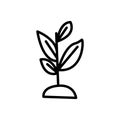 seed tree growing line icon vector illustration