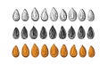 Seed vector set Art line nuts, shape, sketch sign Royalty Free Stock Photo