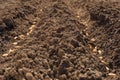 Seedbed. Furrow. Planting crops sowing field arable land. Seeds in open ground plowed land. Rows seed sowing season