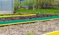 Seedbed on the Household plot