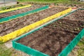 Seedbed on the Household plot