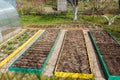 Seedbed on the Household plot