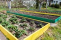 Seedbed on the Household plot