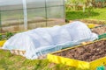 Seedbed on the Household plot.