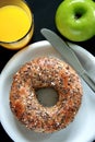Seeded Bagel Royalty Free Stock Photo