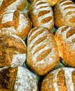 Seeded spelt loaves with honey. Royalty Free Stock Photo