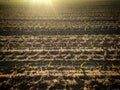 Seeding field. Agricultura ecological farm. Cultivation concept Royalty Free Stock Photo