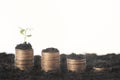 Seeding Plant seed growing on pile of coins money. Royalty Free Stock Photo