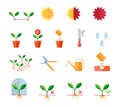 Seeding and planting instructions steps, pruning shears, watering flat icons set