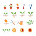 Seeding - planting instructions steps, pruning shears, watering icons set