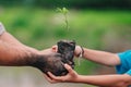 Seeding tree and hand of adults people and hand of children to planting in dirt on blurred green background Royalty Free Stock Photo