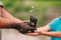 Seeding tree and hand of adults people and hand of children to planting in dirt on blurred green background Royalty Free Stock Photo