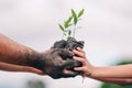 Seeding tree and hand of adults people and hand of children to planting in dirt on blurred green background Royalty Free Stock Photo