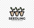 Seedling in cassette pots, plants, agriculture and gardening, colored graphic design Royalty Free Stock Photo