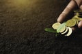 Seedling concept by human hand holding money coins with young tree on nature background Royalty Free Stock Photo