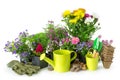 Seedling of garden plants and flowers. Garden equipment on white. Royalty Free Stock Photo