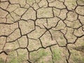 Seedling grass growing trough dry soil crack or soil ground holes in nature-stock photo Royalty Free Stock Photo