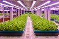 vertical farm Vertical agriculture indoor farm Royalty Free Stock Photo