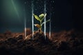 Seedling are growing from the rich soil with business arrow of growth Concept of business growth, profit. Generative AI Royalty Free Stock Photo