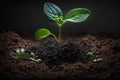 Seedling are growing from the rich soil. Concept of business growth, profit, development and success Generative AI Royalty Free Stock Photo