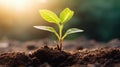 Seedling are growing from the rich soil. Concept of business growth, profit, development and success. Generative AI Royalty Free Stock Photo