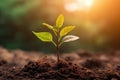 Seedling are growing from the rich soil. Concept of business growth, profit, development and success. Generative AI Royalty Free Stock Photo