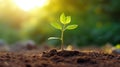 Seedling are growing from the rich soil. Concept of business growth, profit, development and success. Generative AI Royalty Free Stock Photo