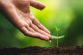 Seedling growth Planting trees Watering a tree Natural light Royalty Free Stock Photo