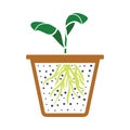 Seedling Icon