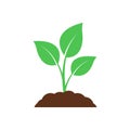 Seedling icon. Plant symbol. Sprout from the ground. Flat style