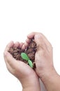 Seedling plant in the hands of a small child with white isolated Royalty Free Stock Photo