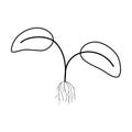 Seedling plant with roots outline simple minimalistic flat design vector illustration