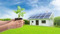 Seedling in a pot in hands. Solar panels on home with green yard in background promoting eco-friendly