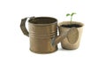 Seedling potted in biodegradable pot near watering can