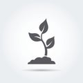 Seedling, process, seed, icon, silhouette. Vector illustration.