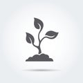 Seedling, process, seed, icon, silhouette. Vector illustration. Royalty Free Stock Photo