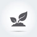 Seedling, process, seed, icon, silhouette. Vector illustration. Royalty Free Stock Photo