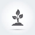 Seedling, process, seed, icon, silhouette. Vector illustration. Royalty Free Stock Photo