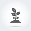 Seedling, process, seed, icon, silhouette. Vector illustration