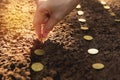 Seedling and saving concept by human hand, Human seeding coins Royalty Free Stock Photo