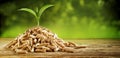 Seedling sprouting from a pile of wood pellets