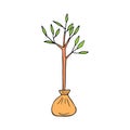 seedling tree hand drawn in doodle style. vector, minimalism, scandinavian, cartoon. gardening, young plant, planting Royalty Free Stock Photo