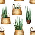 Seedlings in a basket watercolor seamless pattern