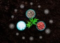 seedlings are fertile from fertile loam and have the necessary digital mineral icons